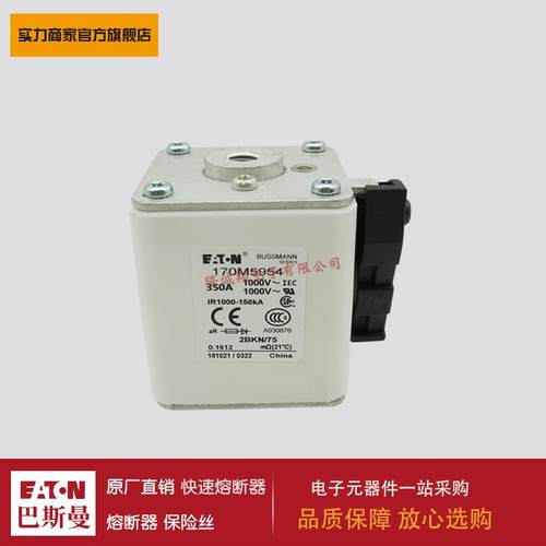 熔断器170M5954 170M5955 170M5956 170M5957 170M5958 170M5959