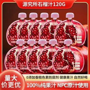 源制所源究所菠萝汁0额外加糖果汁饮料NFC果汁石榴汁果汁饮料
