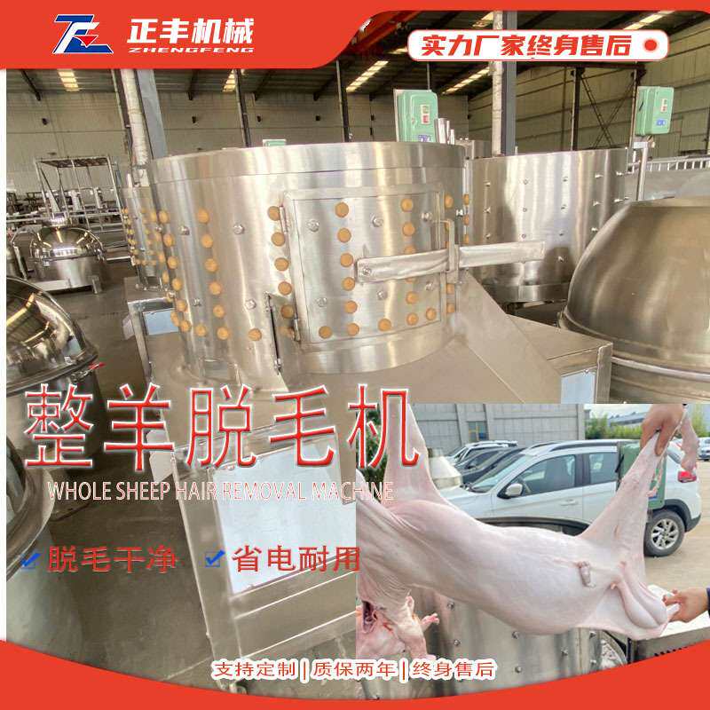 圆筒式整羊脱毛机 全自动商用猪羊头蹄抛光刨毛机  小型羊狗打毛