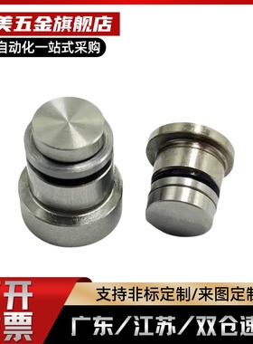 LLT3.5 1.4 1.8 5直线导轨定位销 偏心销 ICE11-T3.5