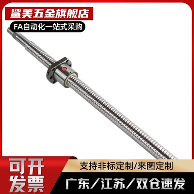 压扎滚珠丝杆C-TBSB C-TBSE1505 1510 1516 1520 2005 2010 2020