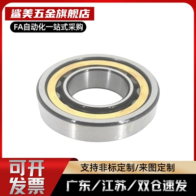 圆柱滚子轴承BCHC-A17 20 25 30 35 40 45 50-D47 52 62 72 80 90