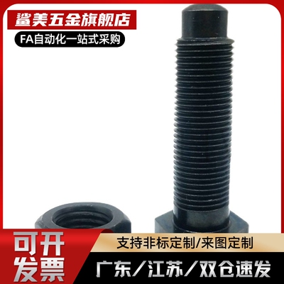碳钢粗牙头部R型定位螺栓发黑调整螺钉STBB  8/10/12/16-30