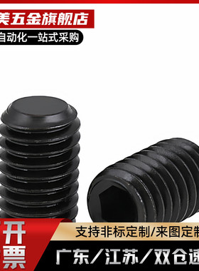 内六角止动螺丝 MSSF2/2.5/2.6/3//45-4/5/6/8/10/12/16/20 TAY01