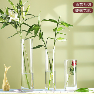 花瓶摆件客厅插花透明玻璃筒北欧水竹大直落地富贵竹号大简约创意