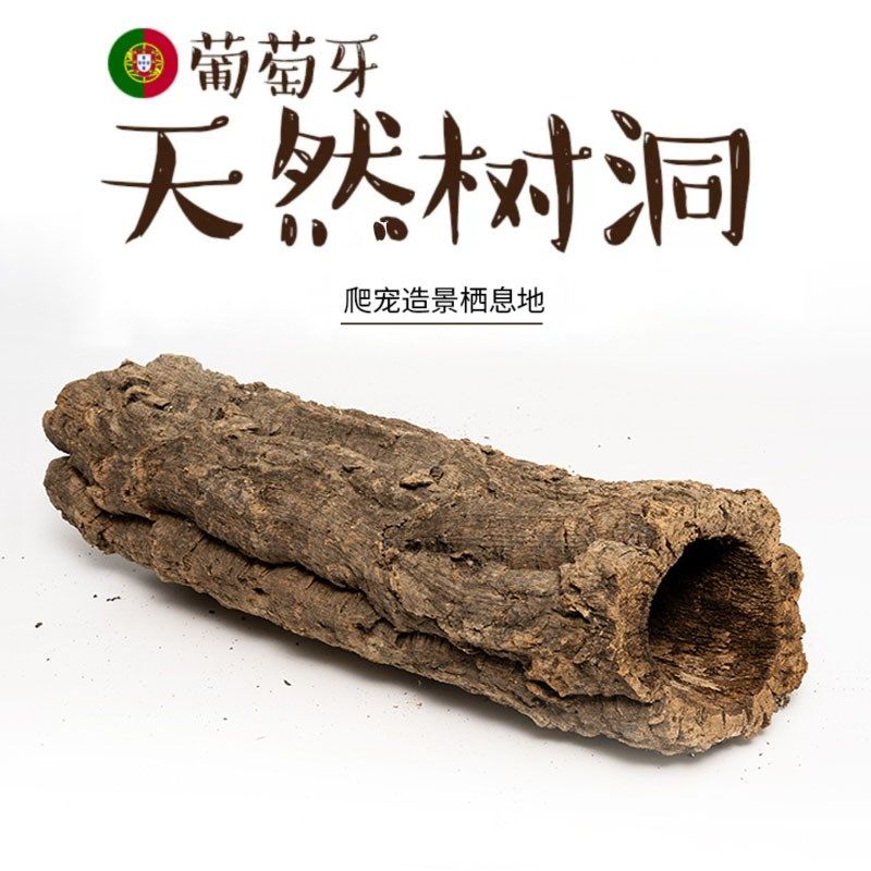 爬宠爬虫天然树洞守宫蜥蜴树蛙蛇蜘蛛躲避寄居蟹仓鼠洞穴树皮造景