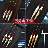 历勇芦苇电子漂夜光漂手作黑坑野钓高灵敏竞技细尾行程浮漂