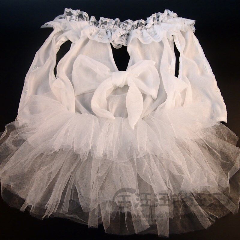 网红 小白裙 雪纺裙子宠物狗狗秋田银狐金毛春夏衣服萨摩边牧婚纱