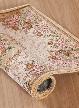 德205新YF欧式地毯客厅玄关款正方形2入户进门国门GWQ垫电脑椅垫