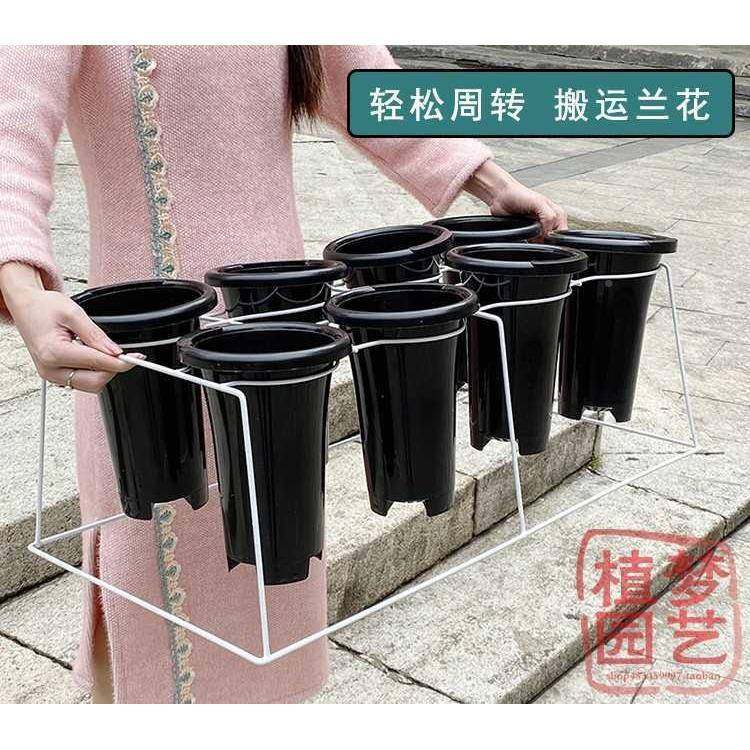 周花架兰花盆支架阳兰台简易NFY落地式草摆放兰架八孔搬运转