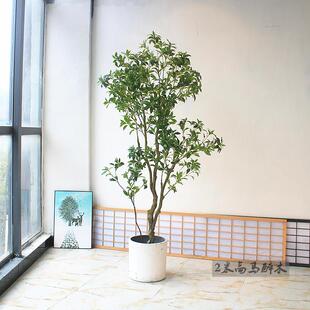 rd657259仿马木醉中日厅式服装酒店客橱真窗落地花艺造景绿植物塑