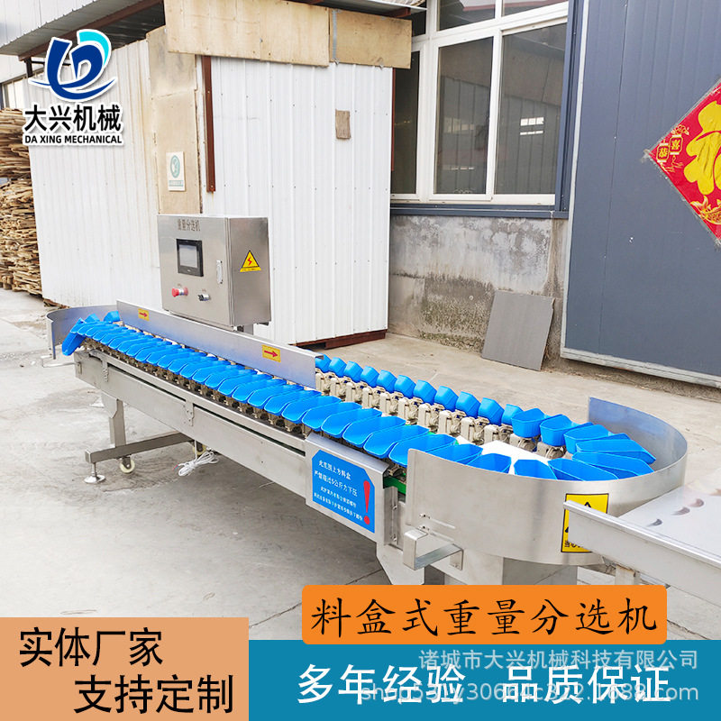 海蛎子重量分选机芒果橙子水果选果机分选机土豆洋葱分拣设备
