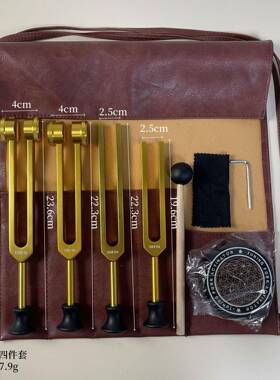 直供28HZ256HZ528HQLHZ84铝合金音叉套装音叉带工底1座采耳具