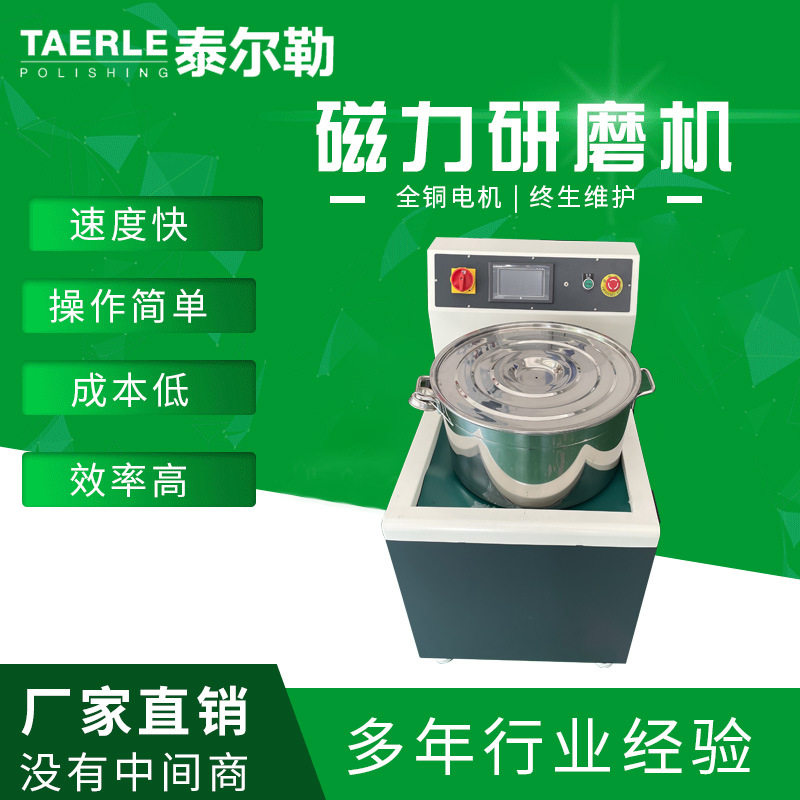 泰尔勒台式小型磁力研磨抛光机