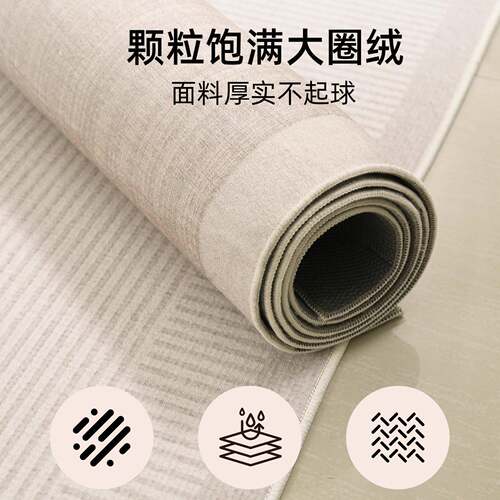 地房毯客厅轻奢全免洗可擦卧室床边地垫间家用防铺水防污沙发IY通