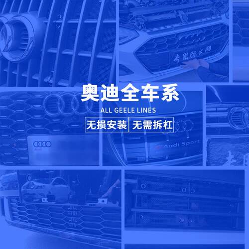 奥DIP*迪全系8防虫网A4L/A6/LA8L/Q2/L/Q5L/QQL水箱保护网防尘网