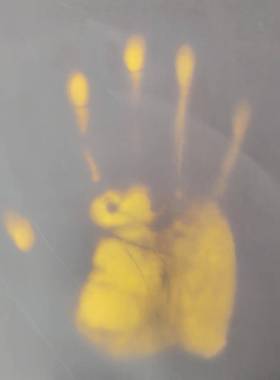 感温变色皮革温变色PU黑色变黄感温变布感光变无品牌/布夜光变色