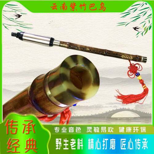 然老紫竹巴乌乌竖吹入巴F调初WQC学门演天奏巴乌吹奏乐器