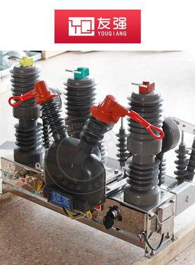 10K空V户外高2压真断路器Z2-OLZ1/60A柱上开关不锈带看门狗智钢能