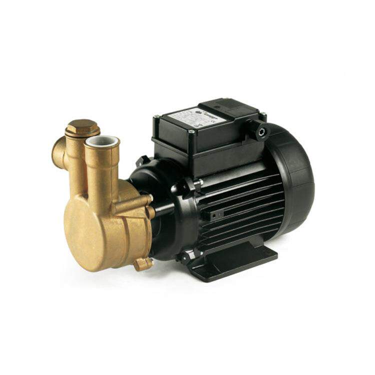 意大利高低压颗粒状杂质外围设备 水泵ps 300