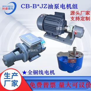 置 齿轮抽油泵电机总成CB 125JZ润滑泵电机组装 B4JZ