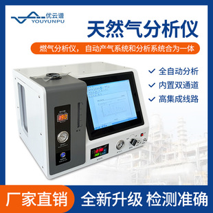天然气分析仪天然气成分分析热值分析色谱仪石油液化气组分检测仪