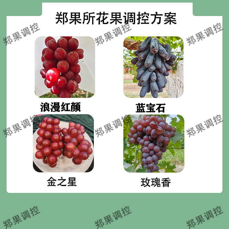 中国农科院郑果所葡萄处理剂