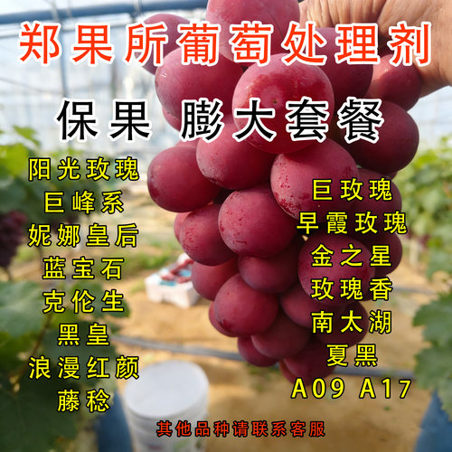 郑果所葡罗塞汀保花保果处理膨大