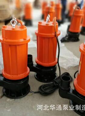 无品牌/现货销售家用潜水排污泵QD污水物污潜水泵小型2W20V潜污泵