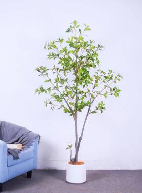 jw05893仿马醉日木中式服装酒真店客厅橱窗落花艺造景绿地植物塑