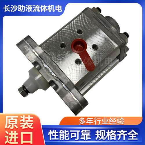 系马单祖奇EXZ微9型动力元齿轮泵润滑统泵1PD.2