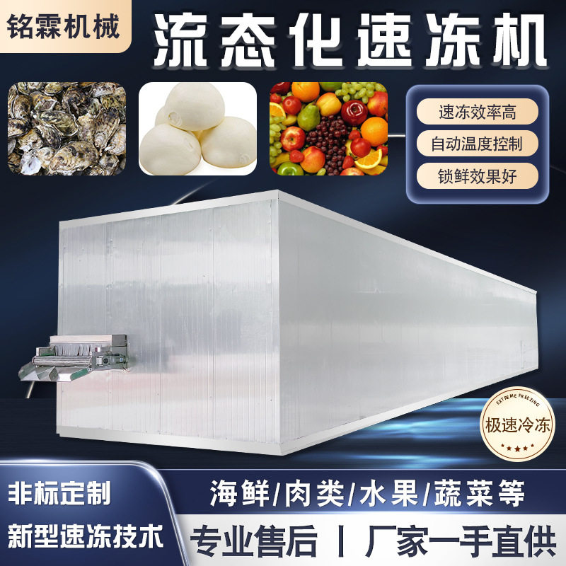 大型带鱼生蚝速冻设备 全自动馒头面条速冻机 速冻草莓流水线
