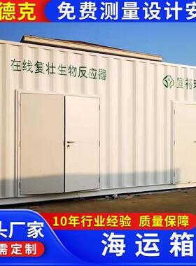 人集装箱海运箱移动房集装箱移动房屋快住合拼箱活动板房彩钢组房