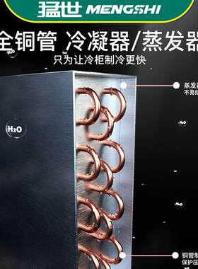 藏猛分体世式饮料柜冷展示冰柜超市三开门五HKE门门四冰箱商用