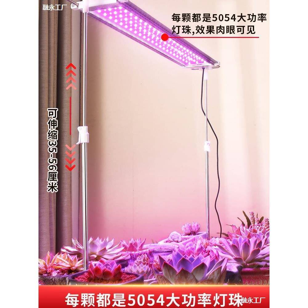 全光谱专多专用补光灯家用上RWW色仿阳室内绿植肉用植物全光补光