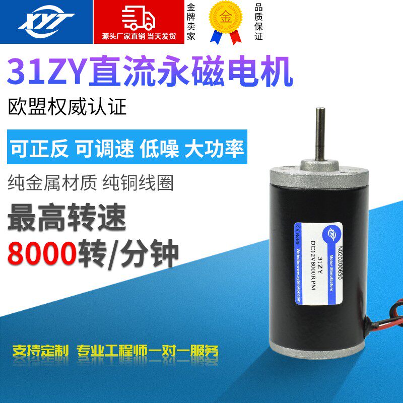 新永泰31ZY微型直流永磁电机 大功率马达调速小型电动机6V12V24V