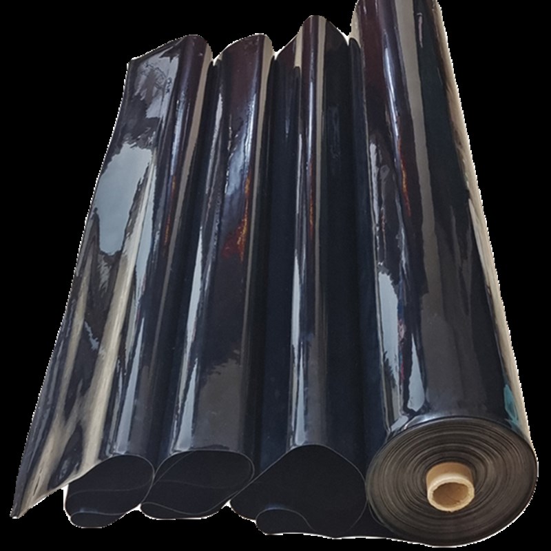 膜防渗膜鱼池护坡防水布土工膜护坡水池鱼池防渗膜鱼塘膜塑料布