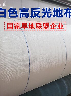 王先生高架草莓棚反光地布大棚农用新型高寿命园艺白色防草布温室