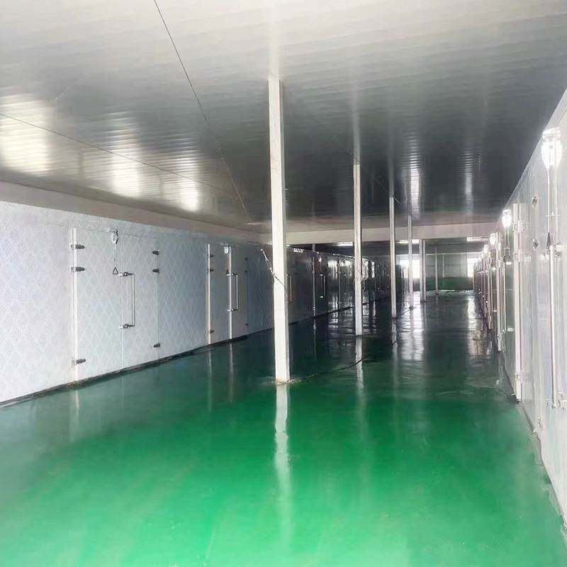 贝母烘干机 大型平贝母川贝母除湿烘干房 空气能太白贝母烘干设备