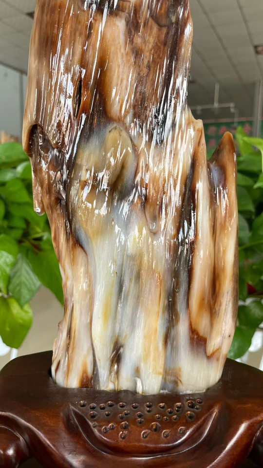 木化玉树化石奇石冰种树化玉原石桌面装饰木化石石大摆件金色杏色