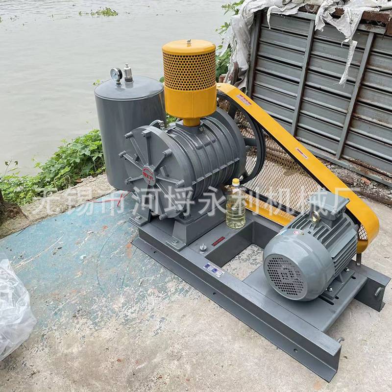 大功率回转式鼓风机 工业污水处理风机 HC-100S 江苏无锡厂家送风