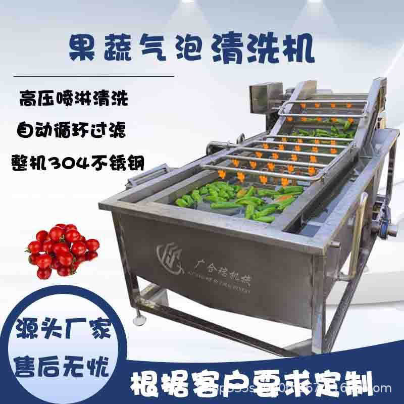 大型全自动果蔬气泡清洗风干机
