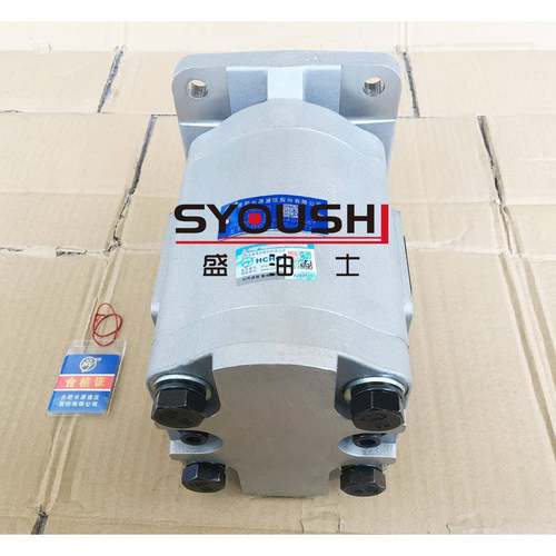 合肥EXN长源轮泵CBG2100齿-BPL/P/BLPL/BLH/BLHL/BF/BFPL/BFHBFHL