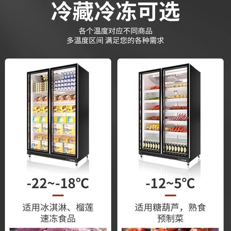 冷淇冻展示柜商用急冻柜商场市冰箱冰低淋温柜风超冷立YYP式冰柜
