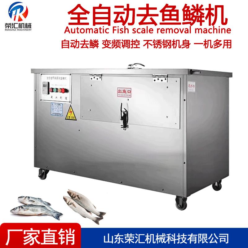 厂家直供全自动除鱼鳞机 草鱼鲤鱼刮鱼鳞机 鱼肉完整 干净
