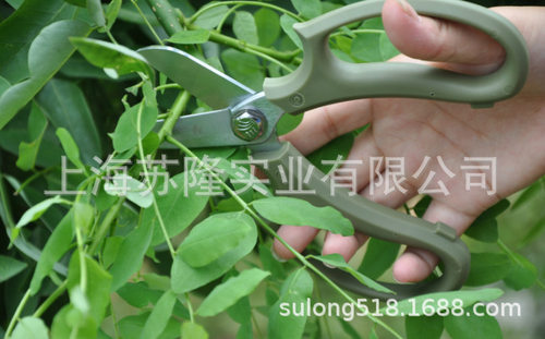 沃施1088家用剪修枝剪园艺用品镀硬铬剪刀头合金手柄