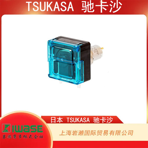 TSUKASA 驰卡沙，N type 小型软管蠕动泵 PT-NP2-200-KA