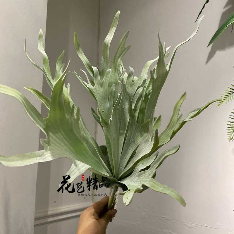 仿真扇葵叶芭蕉扇叶青苔草苔藓空气草垂吊田园摆放花艺墙尤加利