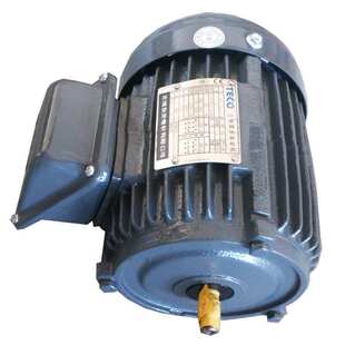TECO东元普通电机AEEF/AEVF,1.5KW,6极