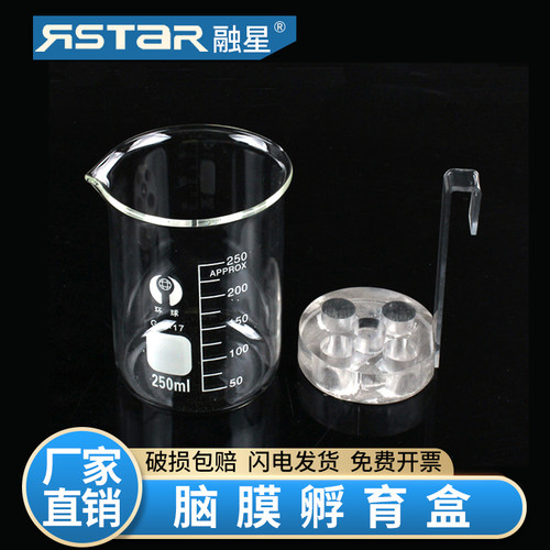 脑膜孵育盒 圆形孵育盒 加配套烧杯